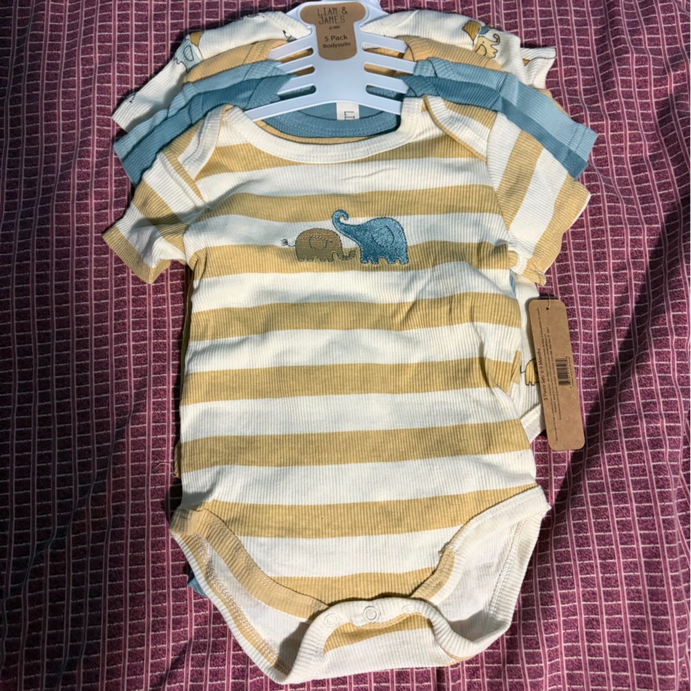 Striped Baby Onesies with Dinosaur Design